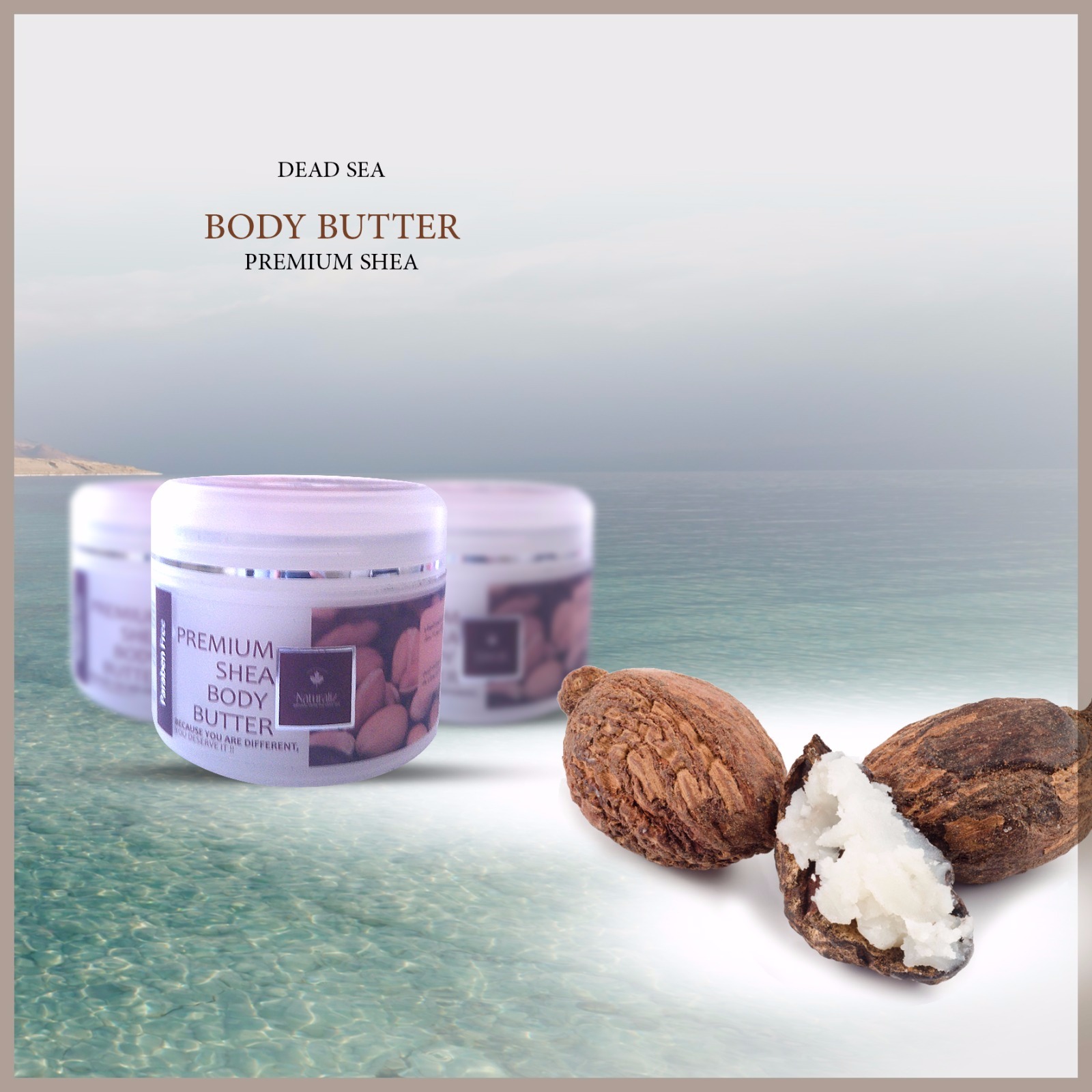 Premium Shea Body Butter